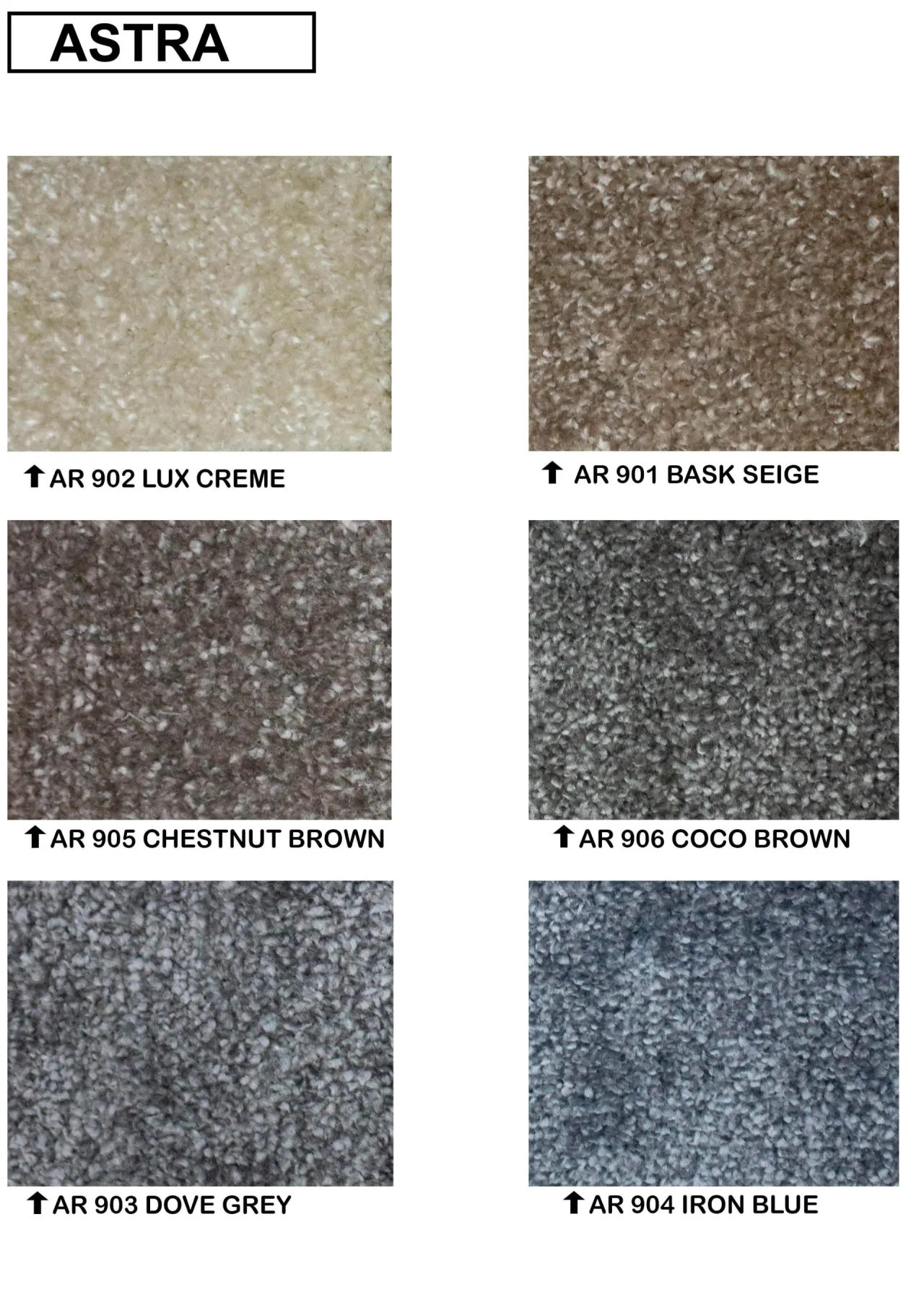 Astra Carpet Wall To Wall