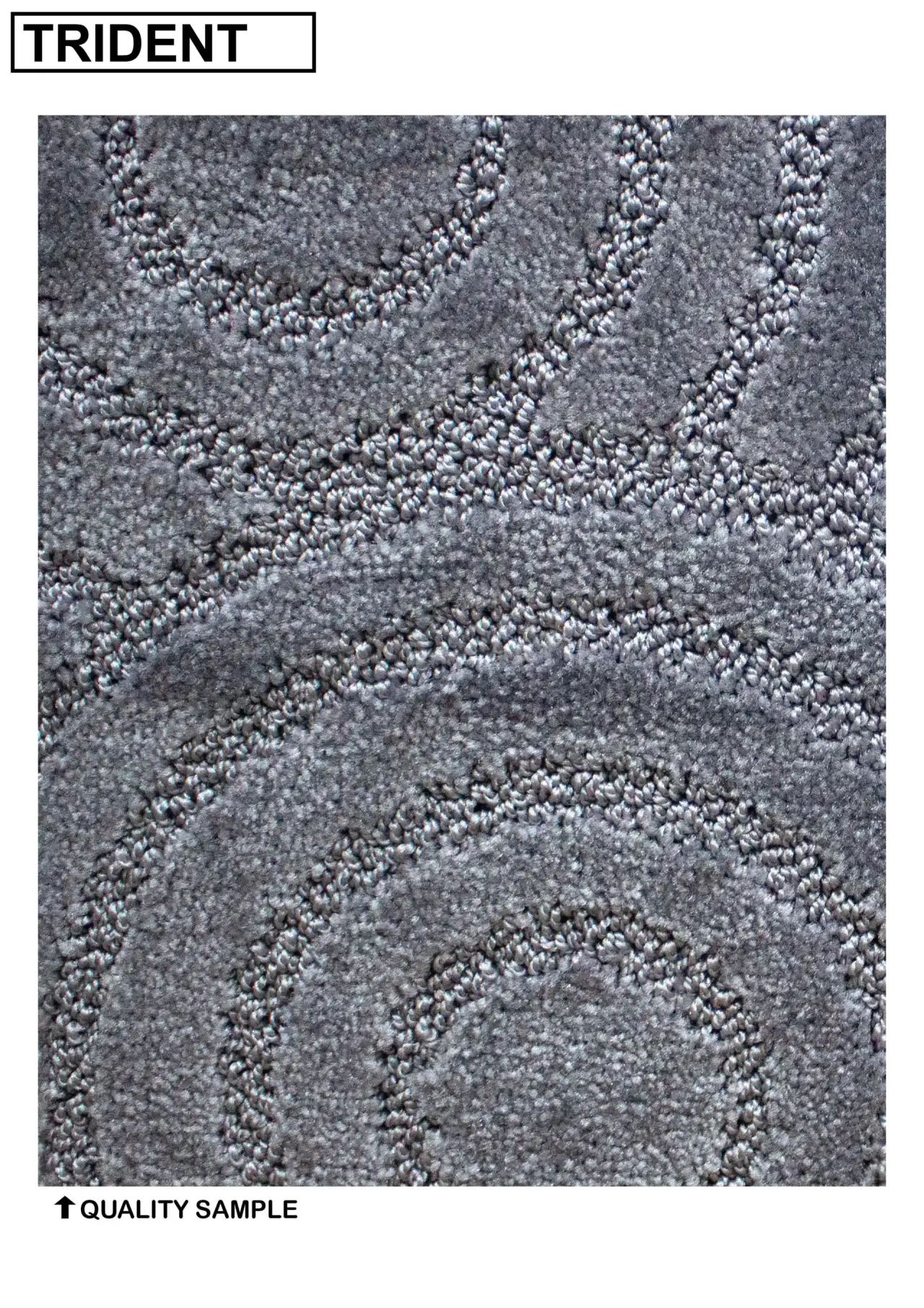 Trident Carpet Wall To Wall