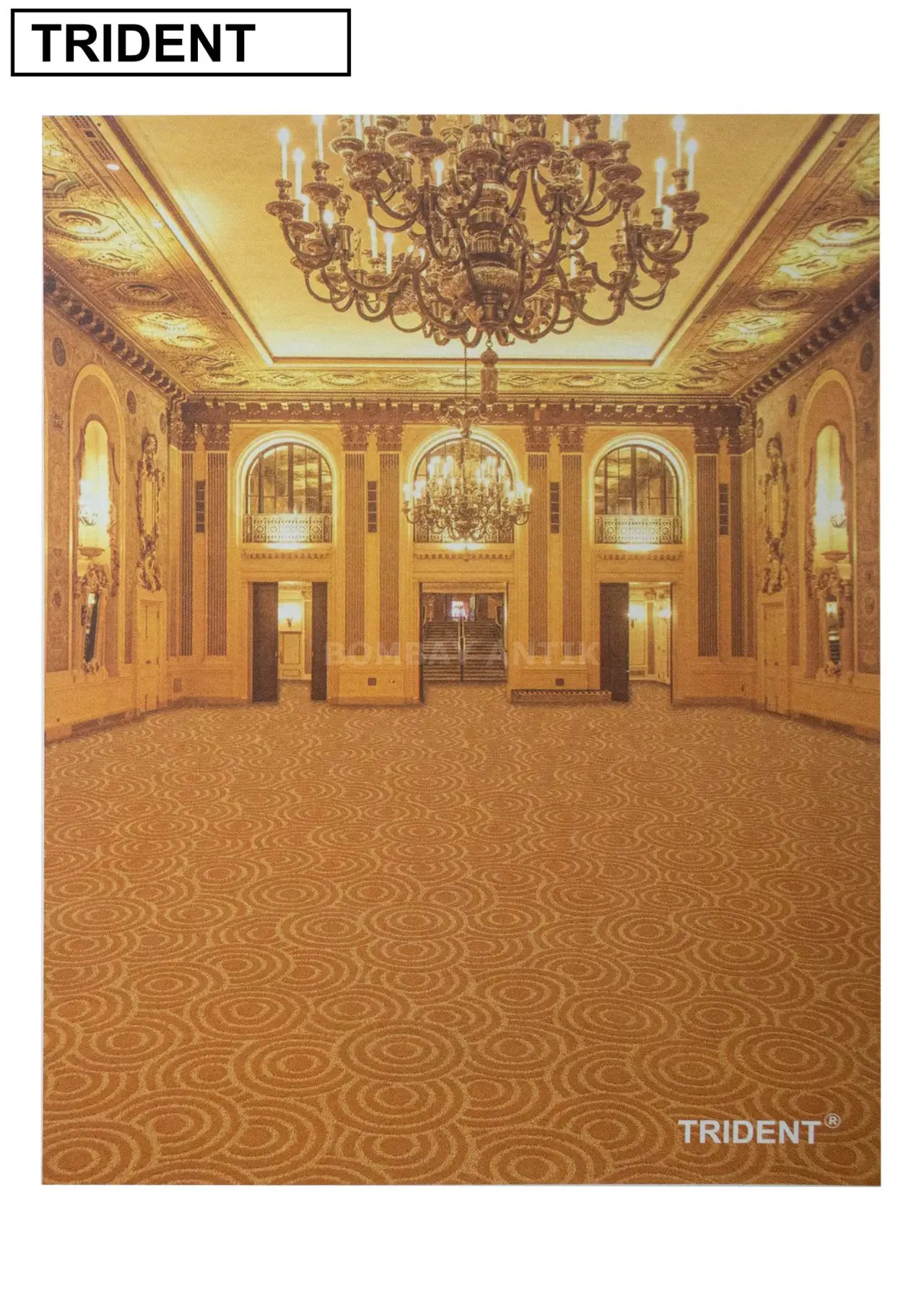 Trident Carpet Wall To Wall