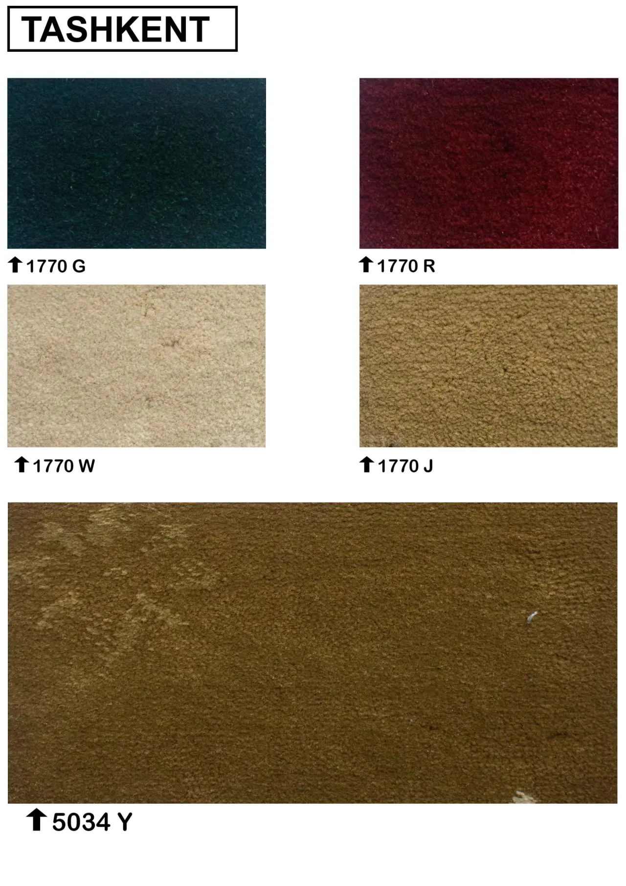 Tashkent Carpet Wall To Wall
