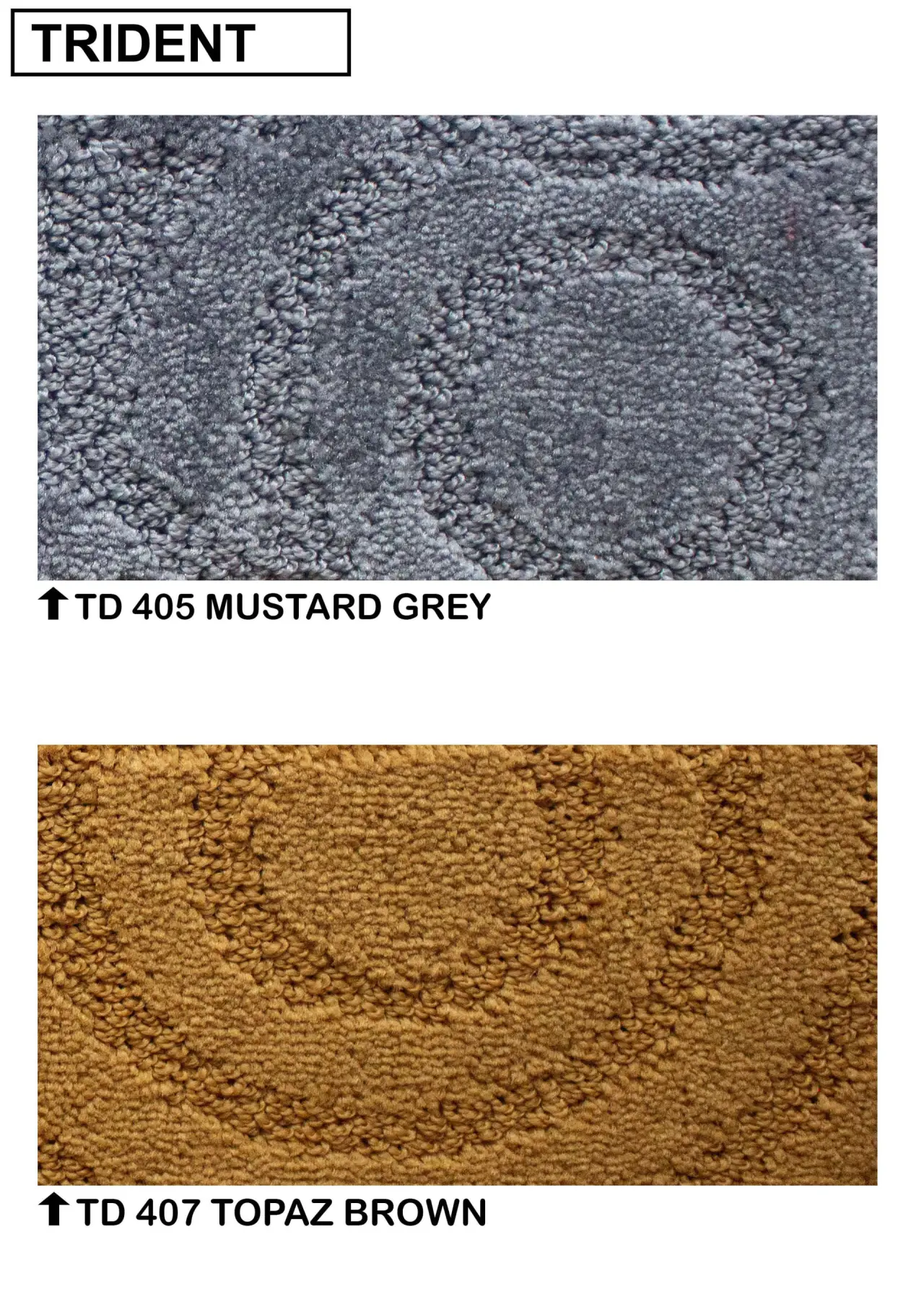Trident Carpet Wall To Wall