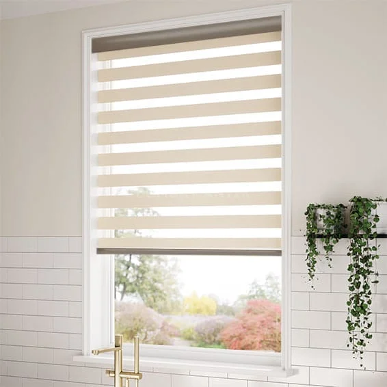 Zebra Blind