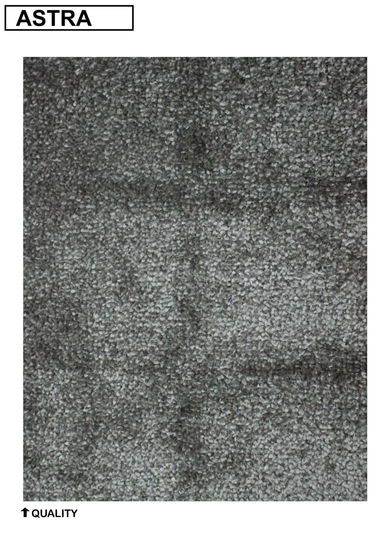 Astra Carpet Wall To Wall