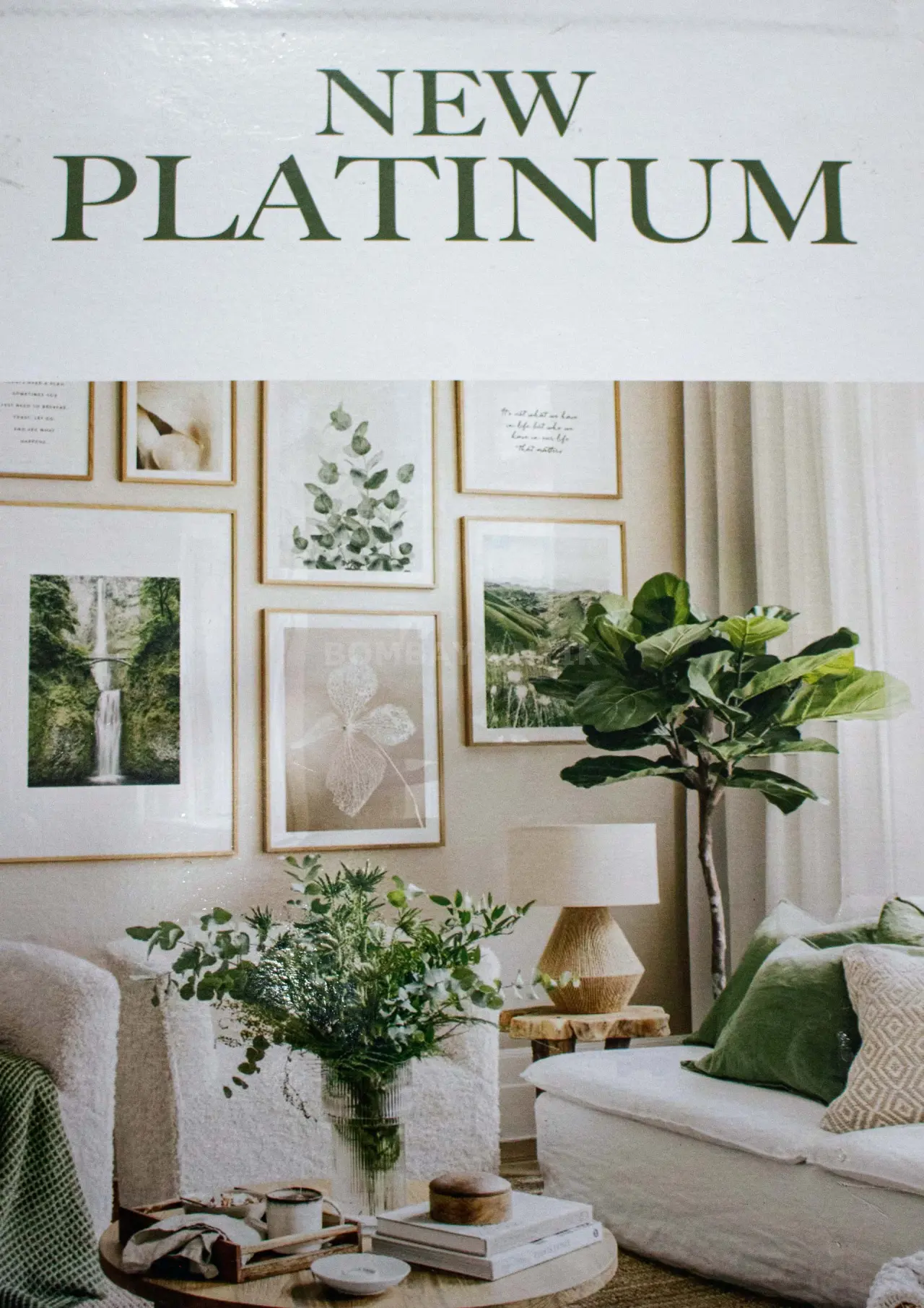 New Platinum Vitrase